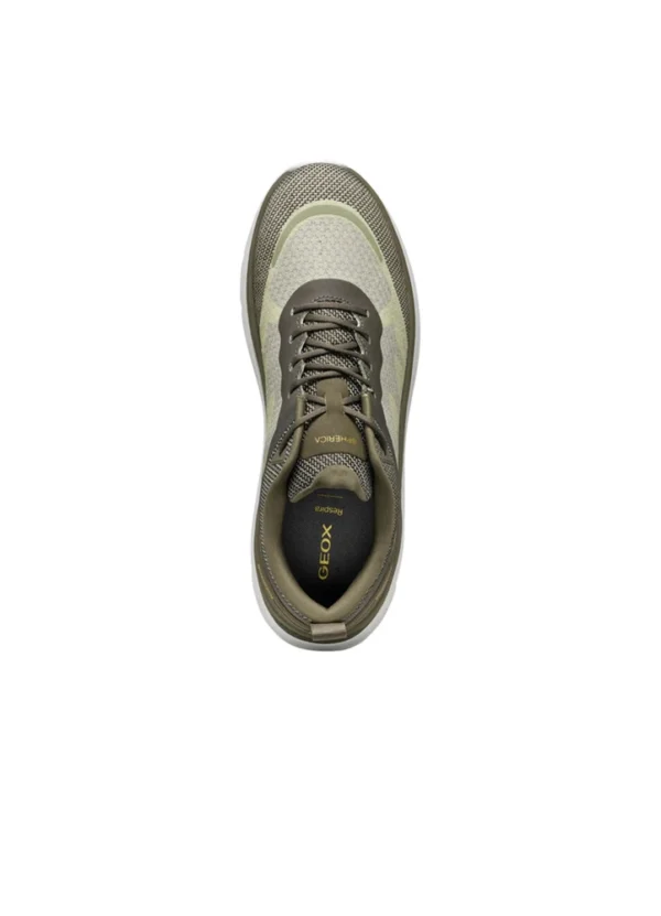 Geox Men Sneakers AMGXS25SNLAHL09