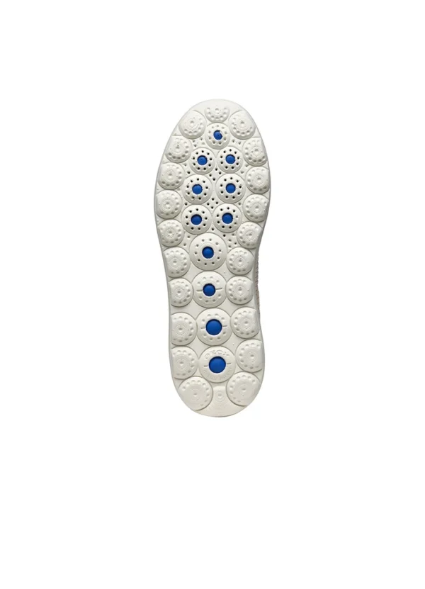 Geox Women Sneakers AWGXW24SNLAHL12