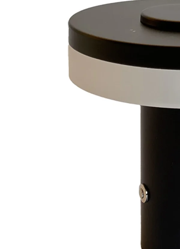 Bazardeluxe Home Decor Table Lamp DHBLAYPTMNANA03