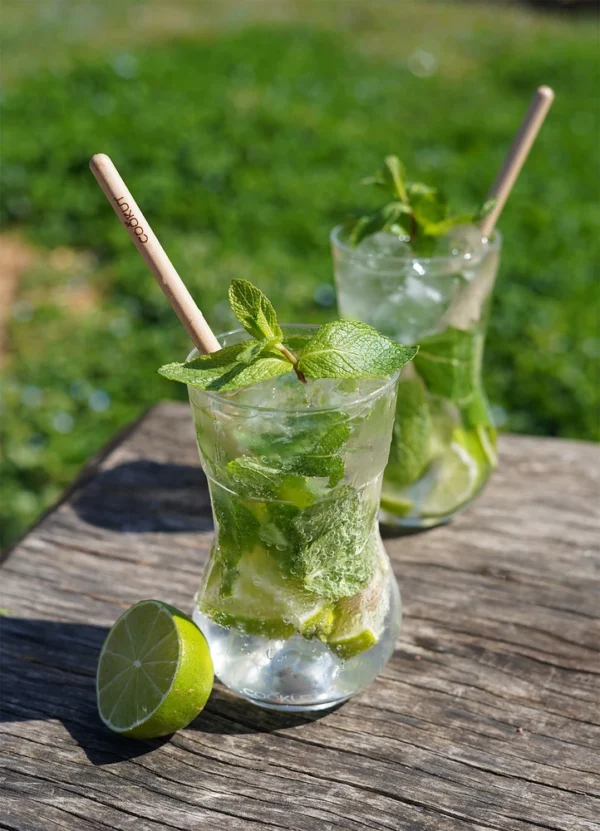 Cookut Home Decor Mojito Set DHCKAYPMSNANA02
