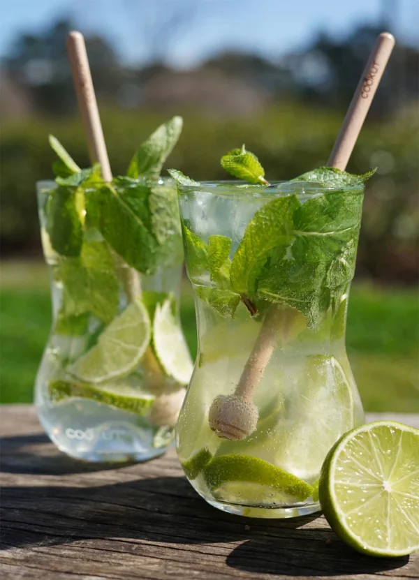 Cookut Home Decor Mojito Set DHCKAYPMSNANA02