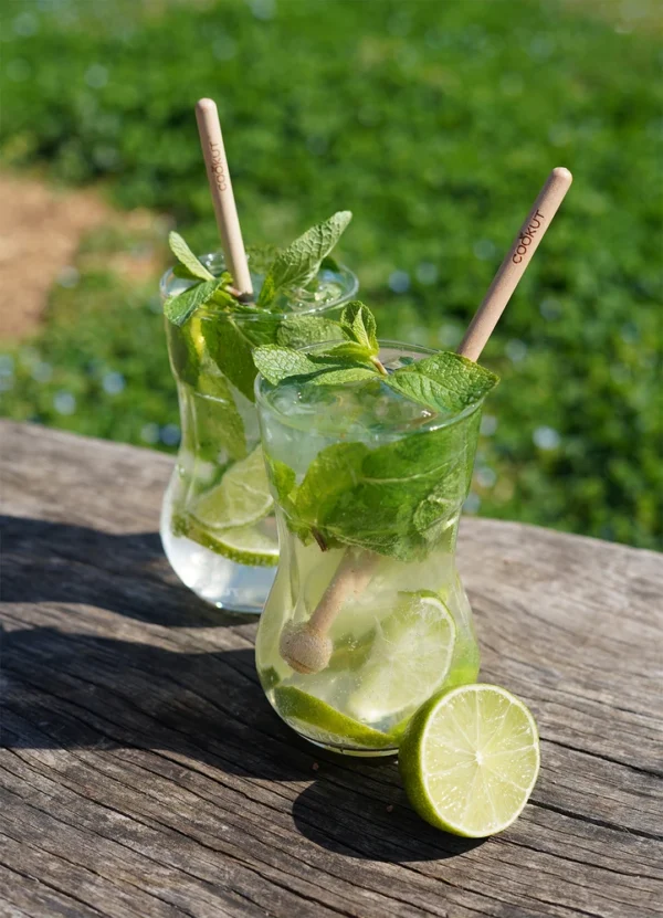 Cookut Home Decor Mojito Set DHCKAYPMSNANA02