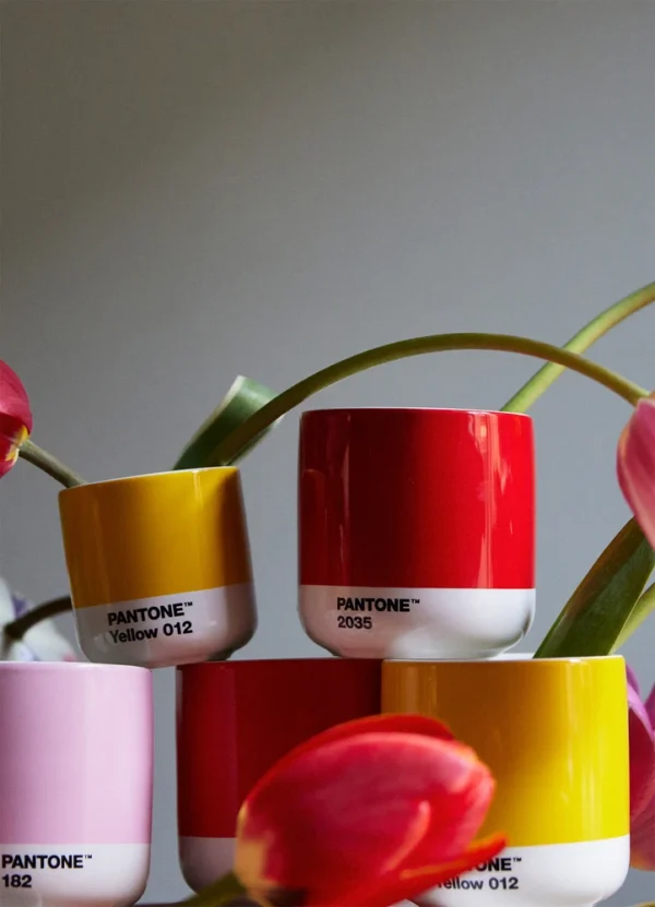 Copenhagen Design Home Decor Cup DHPAAYPC2NANA01