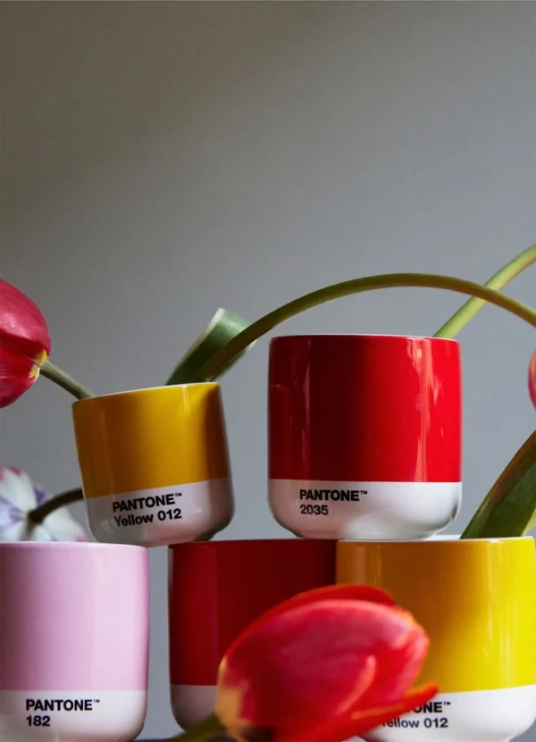 Copenhagen Design Home Decor Cup DHPAAYPC2NANA05