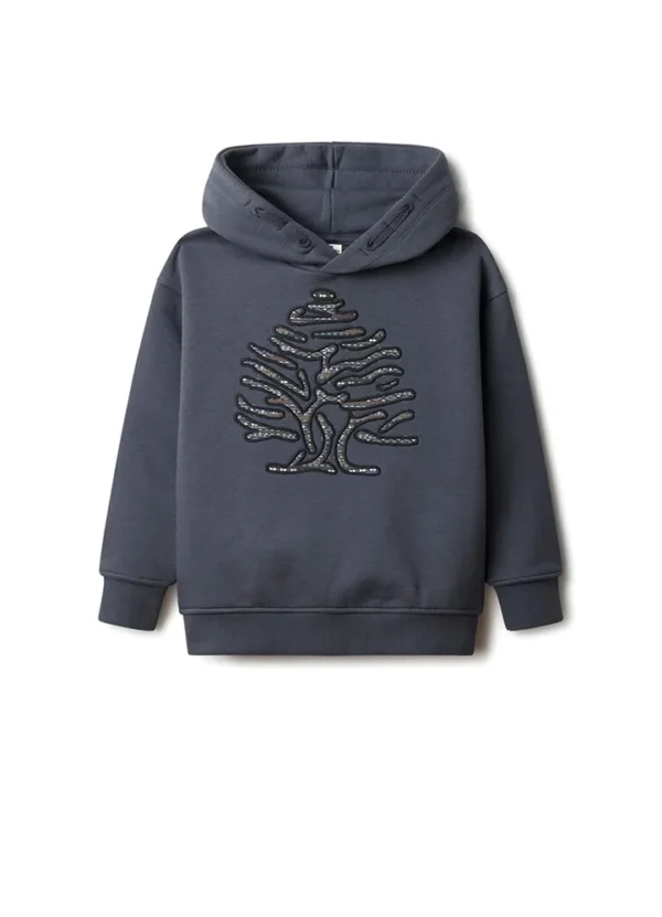 Springfield Boy Sweatshirt Hood KBSFW24SHCNCO08