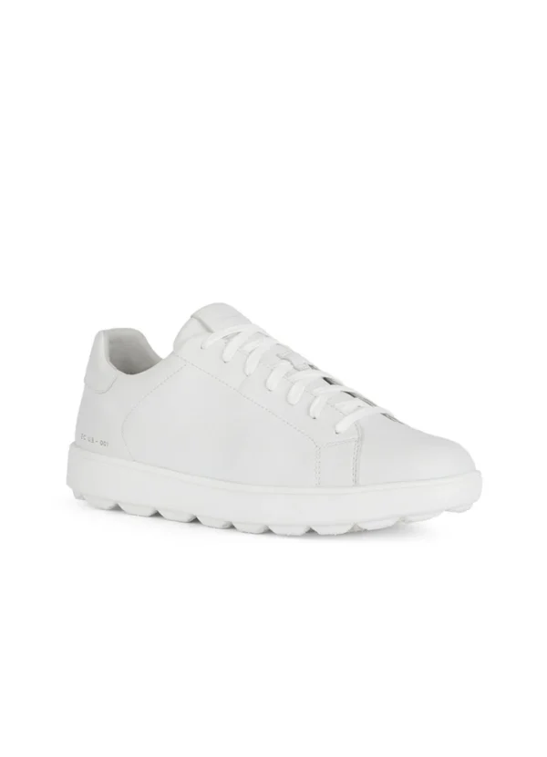Geox Men Sneakers AMGXS25SNLAHL08