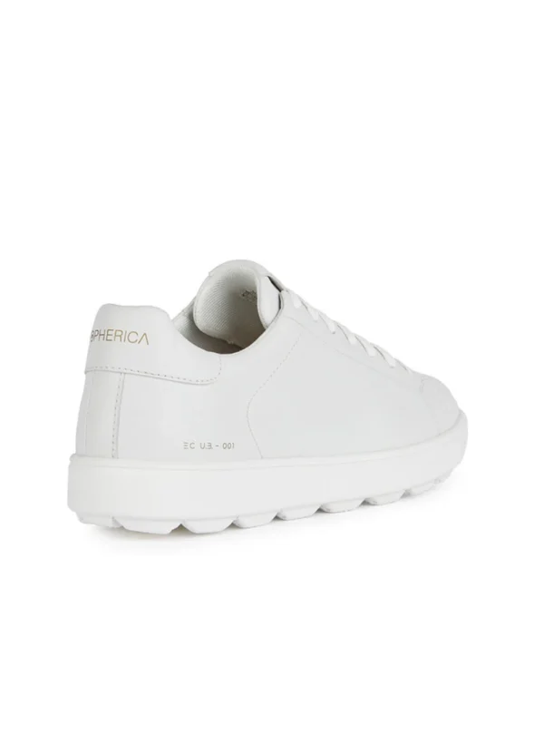 Geox Men Sneakers AMGXS25SNLAHL08