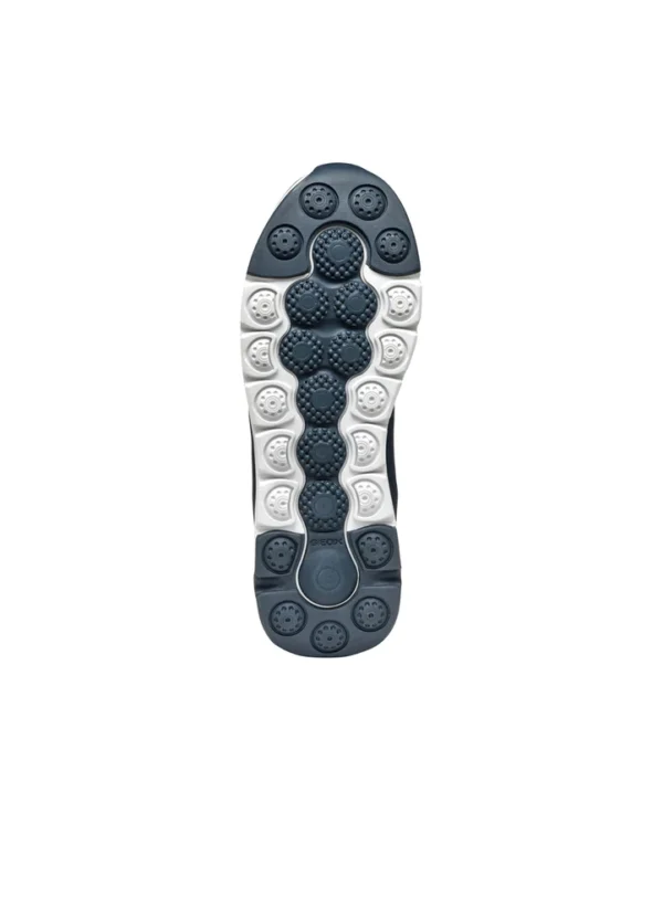 Geox Men Sneakers AMGXS25SNLAHL13