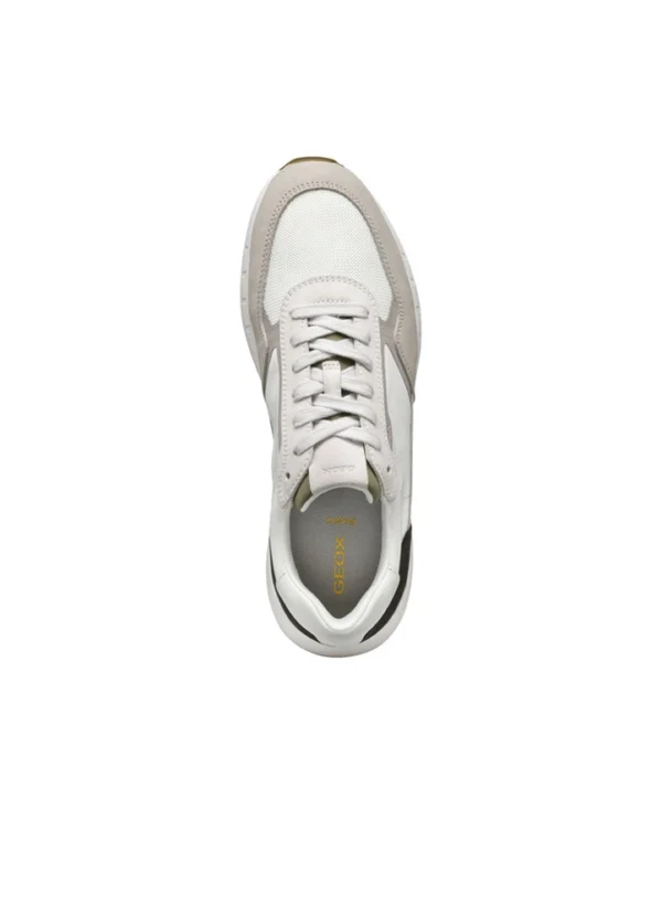 Geox Men Sneakers AMGXS25SNLAHL18