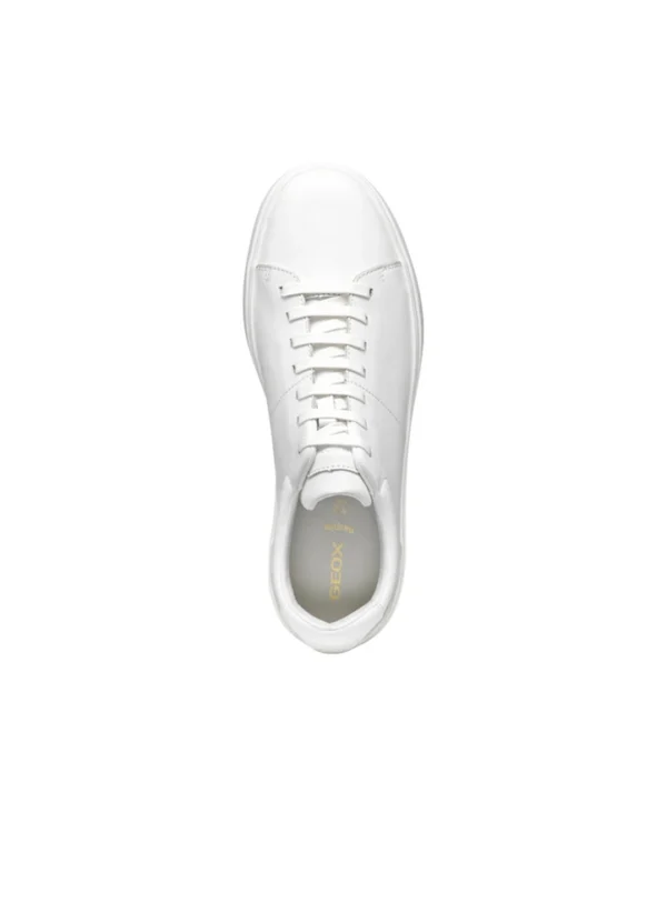 Geox Men Sneakers AMGXS25SNLAHL22