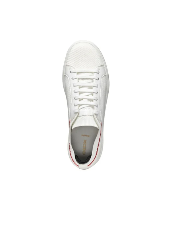 Geox Men Sneakers AMGXS25SNLAHL23