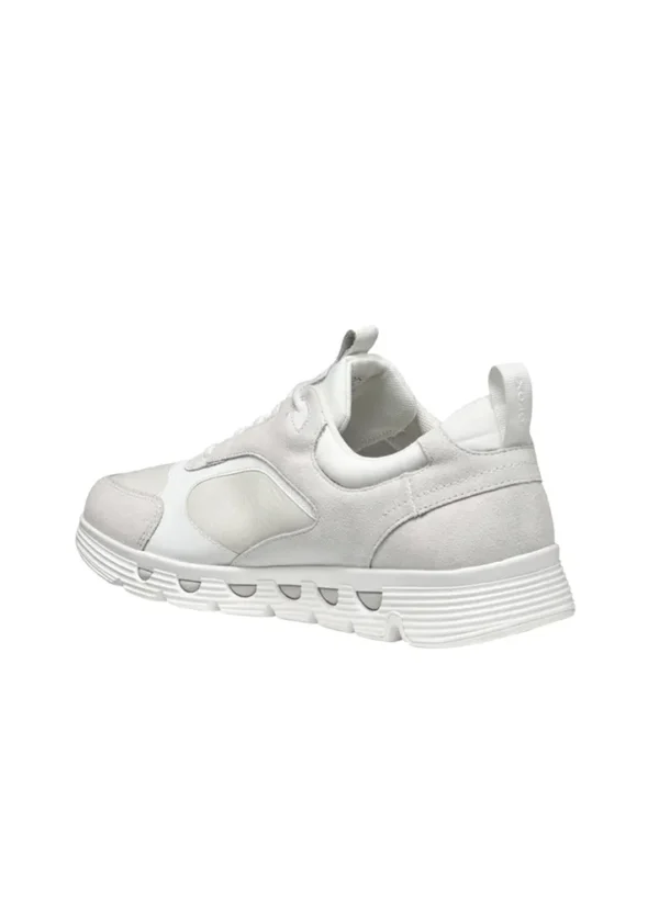Geox Men Sneakers AMGXS25SNLAHL29
