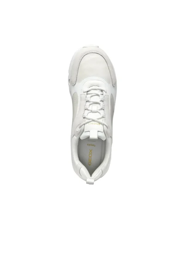 Geox Men Sneakers AMGXS25SNLAHL29