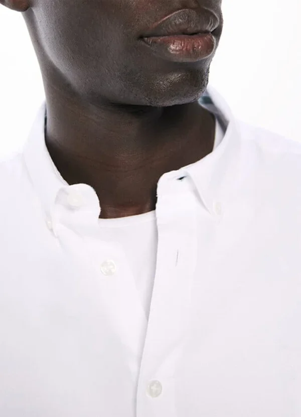 Springfield Men Shirt AMSFS25SLP3RE08