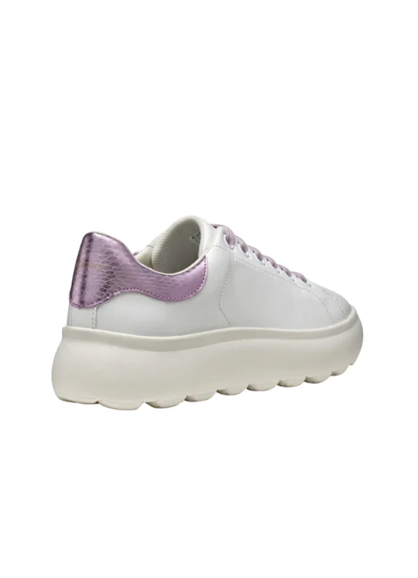 Geox Women Sneakers AWGXS25SNLAHL05