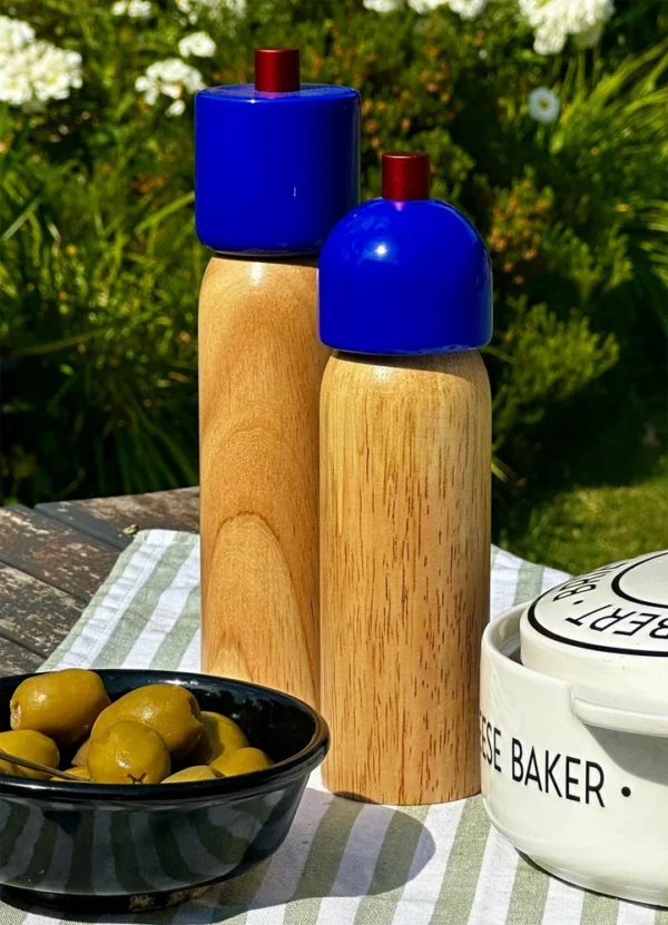 Maegen Home Decor Salt & Pepper Grinder DHGEAYPPPNANA02