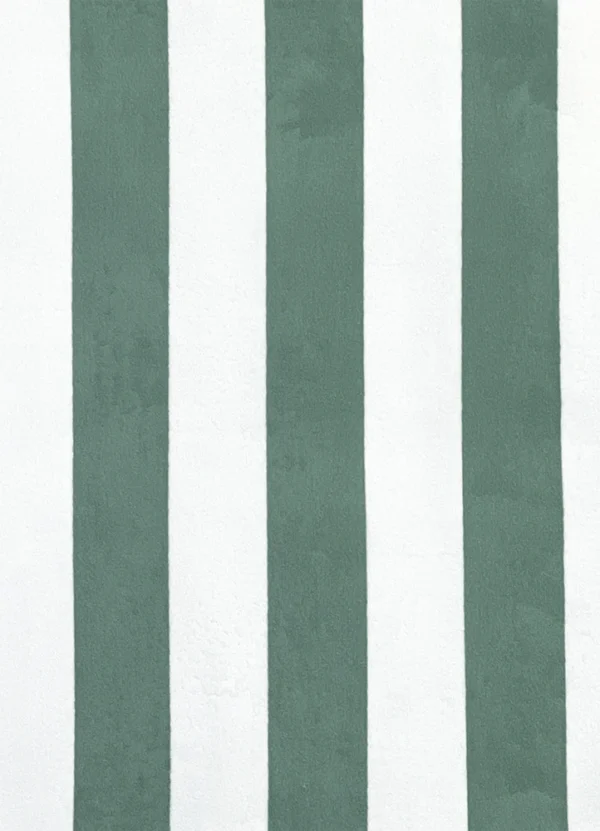 Haomy Home Decor Beach Towel DHHAAYPLWNANA02