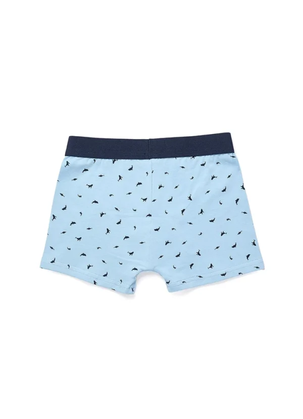 Zippy Boy Underwear KBZPS25UNBXCO02