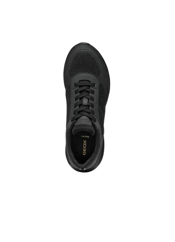 Geox Men Sneakers AMGXS25SNLAHL17
