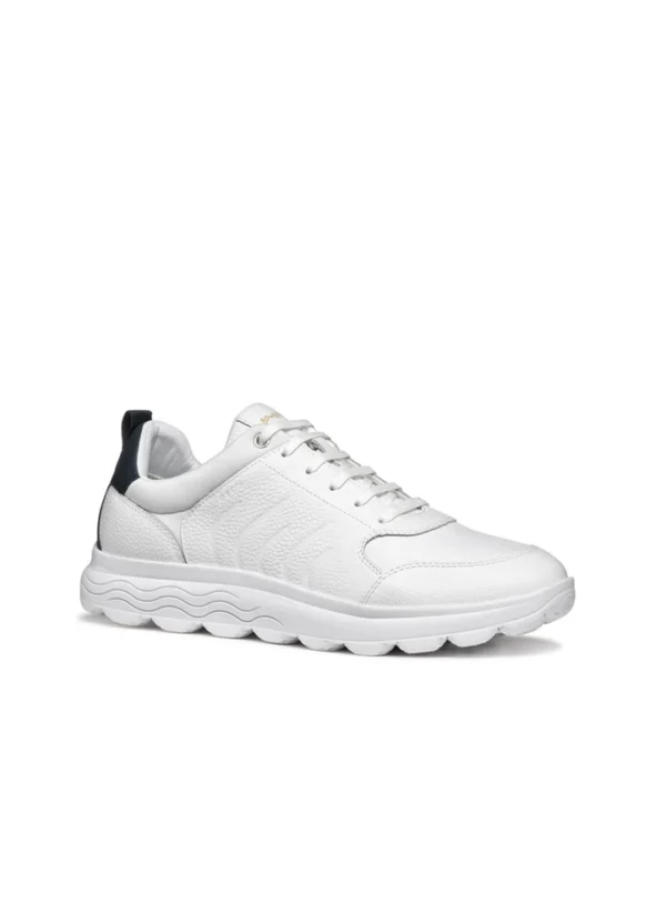 Geox Men Sneakers AMGXS25SNLAHL10