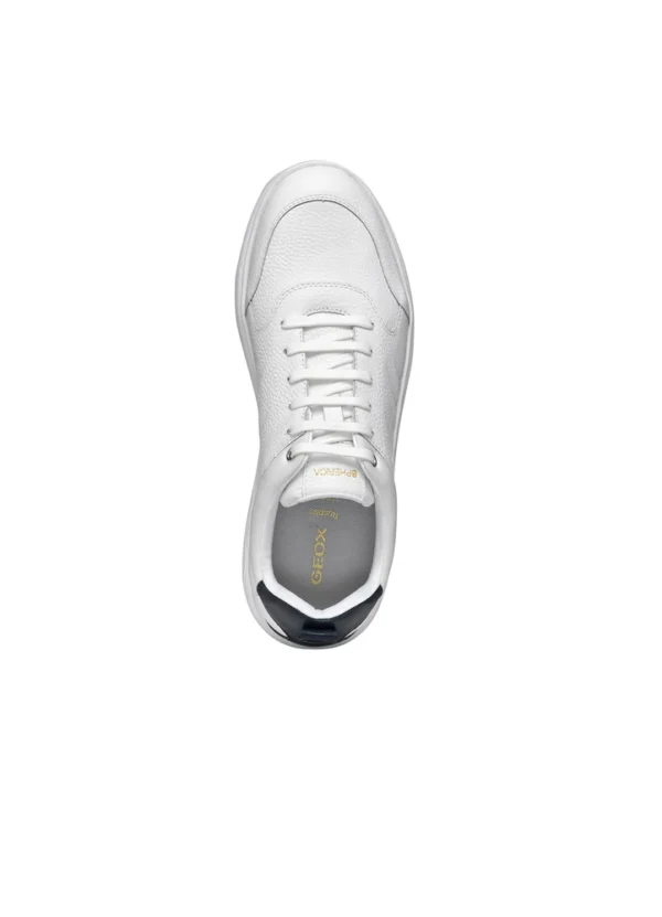 Geox Men Sneakers AMGXS25SNLAHL10