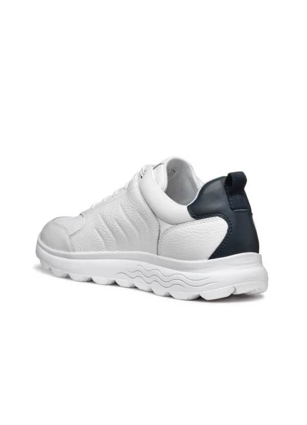 Geox Men Sneakers AMGXS25SNLAHL10