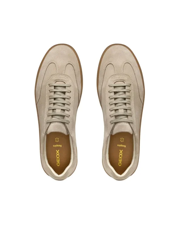 Geox Men Sneakers AMGXS25SNLAHL27