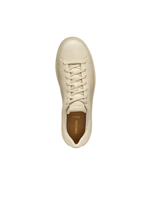 Geox Men Sneakers AMGXW25SNLAHL20