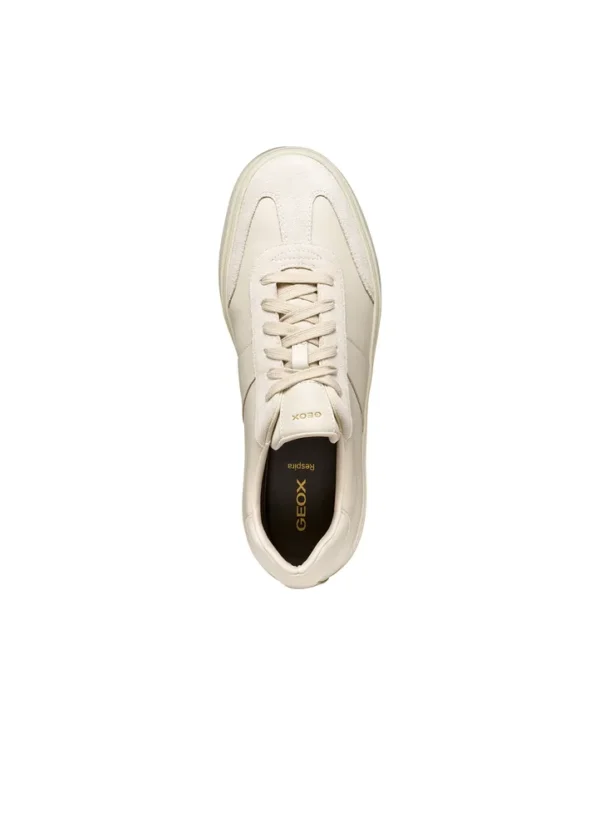 Geox Men Sneakers AMGXW25SNLAHL11