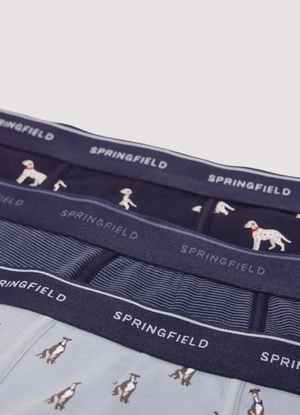 Springfield Men Underwear AMSFW25UNBXK903