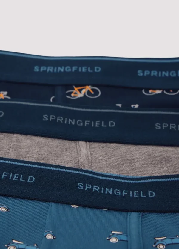 Springfield Men Underwear AMSFW25UNBXK905