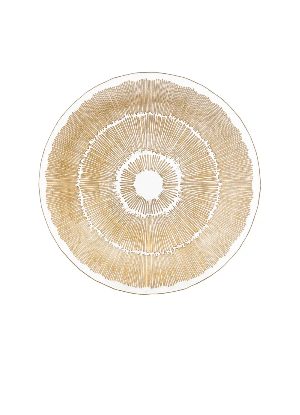 Secret de Gourmet Home Decor Serving Dish DHSGAYPIGNANA02